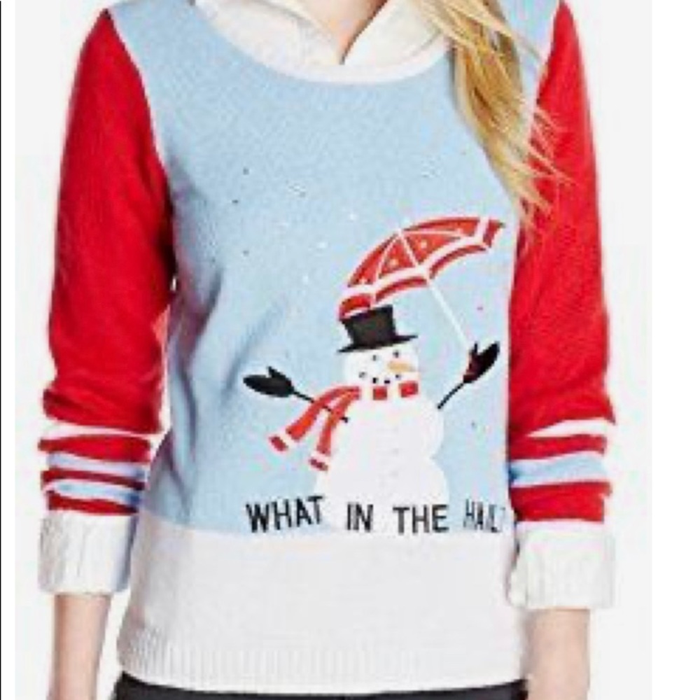 Tacky Christmas Sweater | What the Hail | Ugly